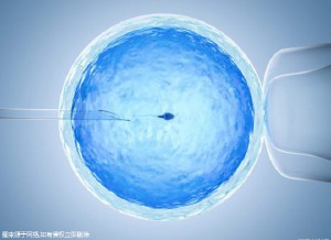 私人代怀公司